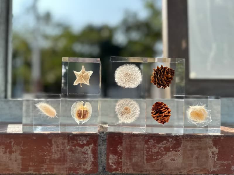 【純淨植磚－毬果】植感手作藝術品/居家品味擺飾