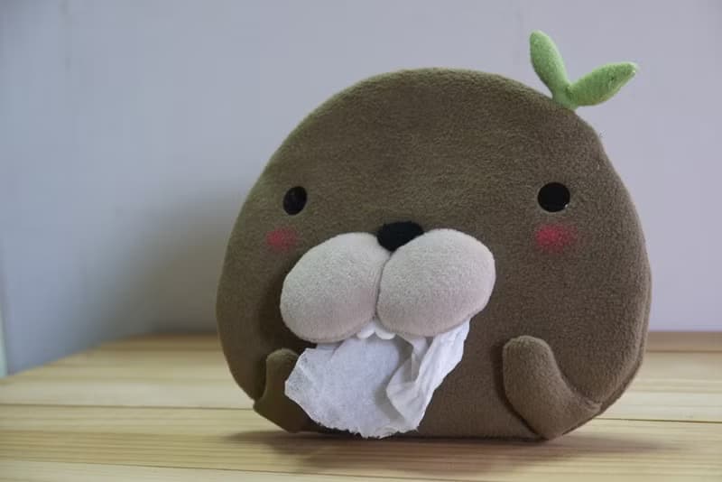 Bucute讓人想一直抽的隨身面紙套/生日禮物 首選/交換禮物/手工製作/