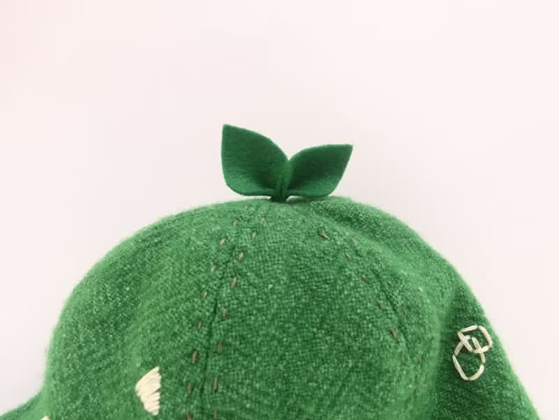 Grow Up! Wool Leaf Hat / Leaves & Nutrients (Green)