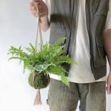 野營風懸掛蕨類苔球