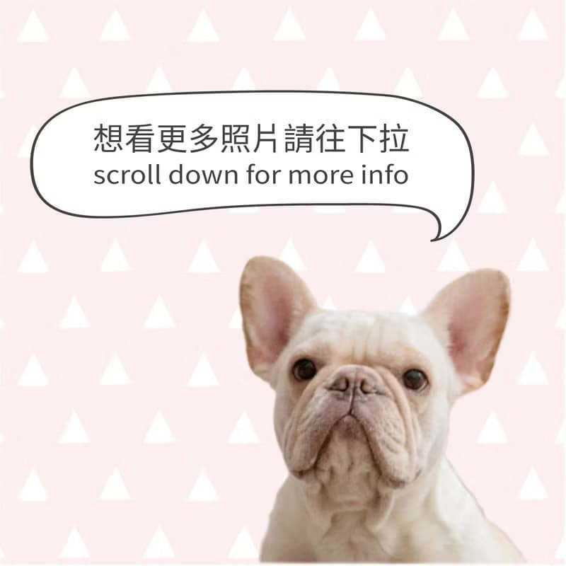 寵物吊飾