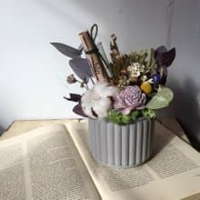 warm letter 溫暖的信乾燥花試管盆花