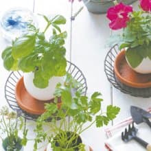 【福利品特賣】紙盒精裝版 eggling 植物栽培蛋 / 花系列 (附陶盆