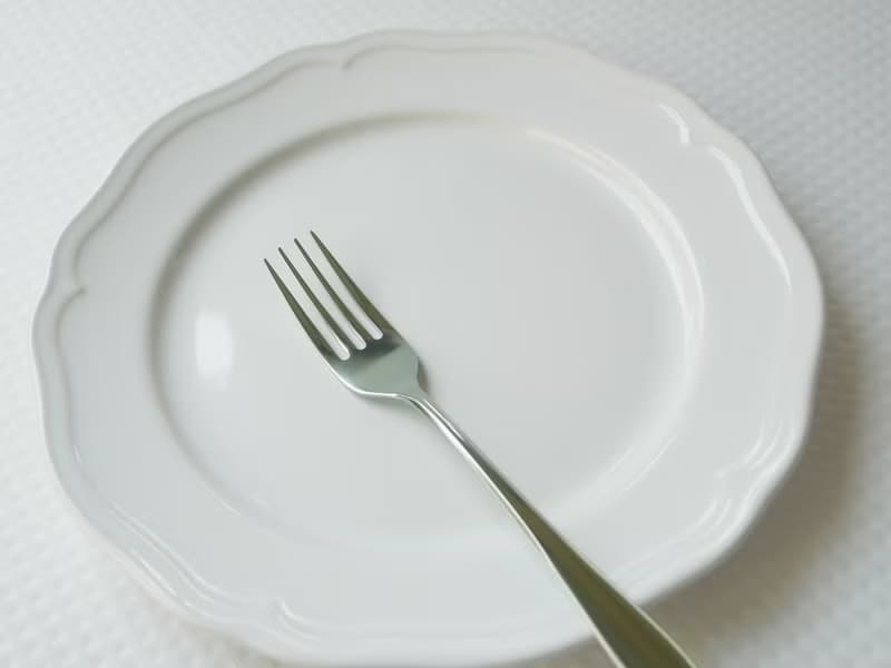 【日本Shinko】日本製 設計師系列 素直-小餐叉