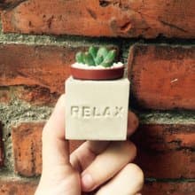 Relax!!磁鐵盆栽