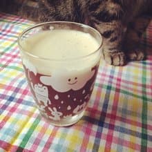 好朋友玻璃對杯