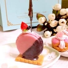 手作圓舞曲--飛碟馬卡龍名片夾/謝卡座/相片夾