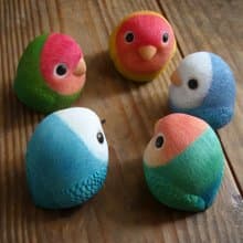 療癒圓滾滾系列-愛情鳥(小鸚)Inseparables(Love Bird)