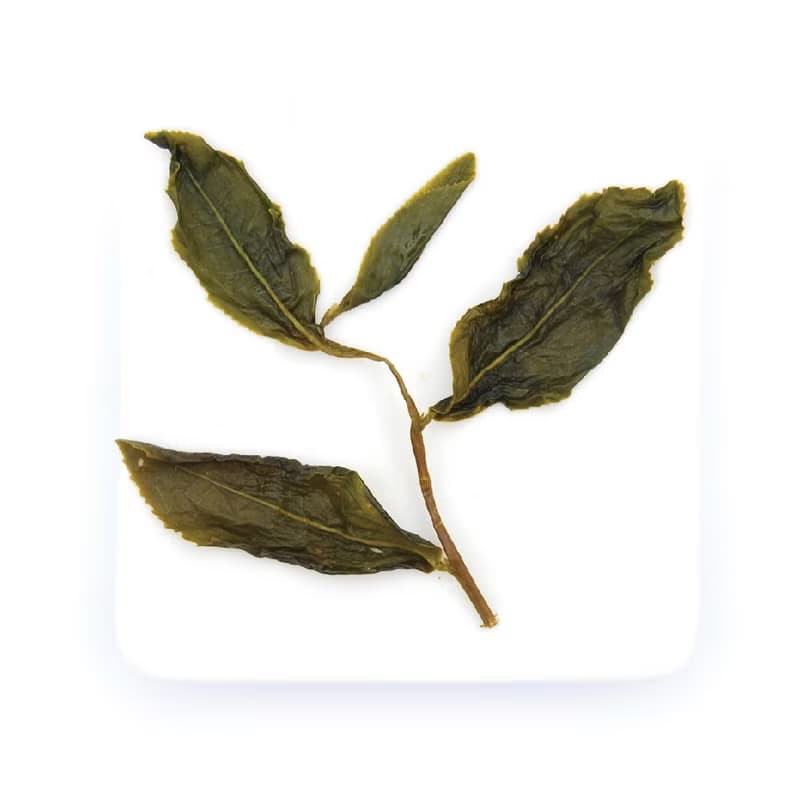 【無藏茗茶X台灣宜龍】簡單泡茶組_200ml綠色濾泡壺+18g金萱綠茶