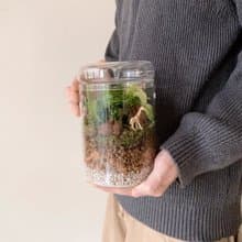mini zoo 苔蘚景觀 室內植栽