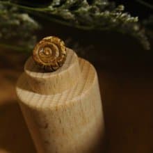 【 T - C 】耳環 日本白瓷 瓷器  限量 自然釉色 無限看不膩色調 攝氏1350高溫燒製