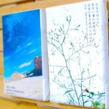 那真正拜父的，要用心靈和誠實拜他，因為父要這樣的人拜他。