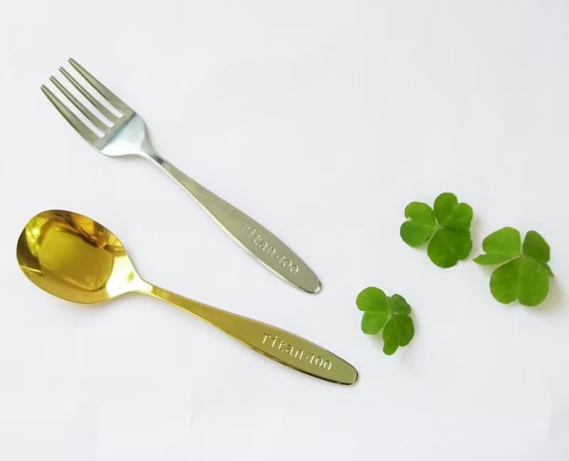 【日本製 Horie】鈦愛寶貝系列-純鈦抗菌ECO環保幼兒叉(鈦銀)