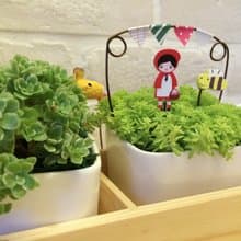 (盆栽) 園遊會裡玩躲貓貓 Play Hide and Seek at the Carnival