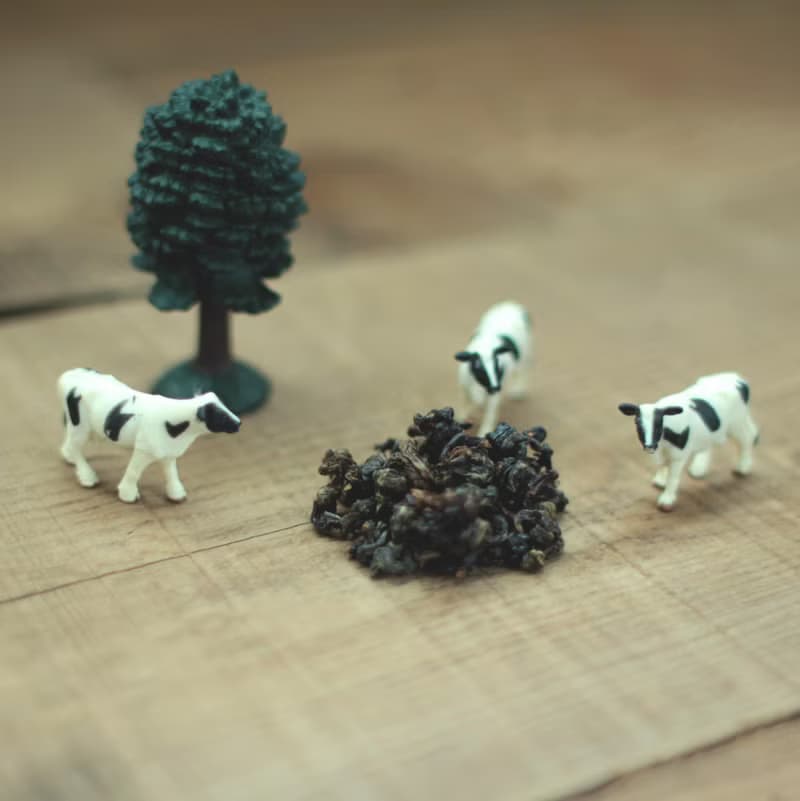 【琅茶】奶萱紅茶 / 原片立體茶包 / 牛奶糖香・溫順甘醇