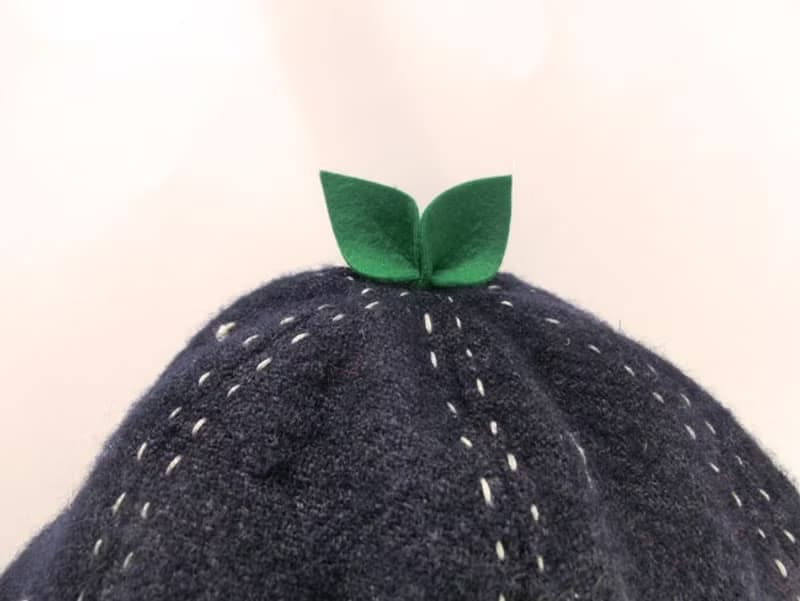 Grow Up! Wool Leaf Hat / Leaves & Nutrients (Navy)