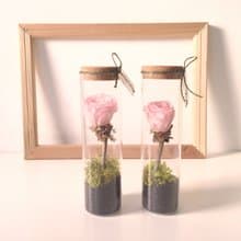 prince's Rose小王子擁有一個永不毀滅的玫瑰  單一販售