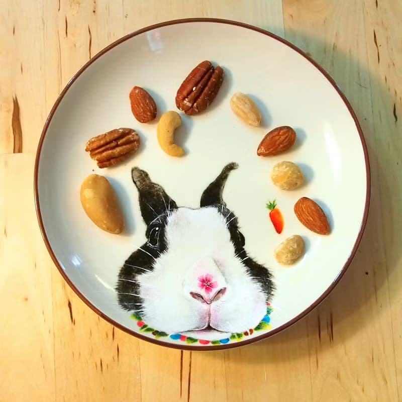 壁掛裝飾盤 / 點心盤系列－道奇兔也來鼻沾花