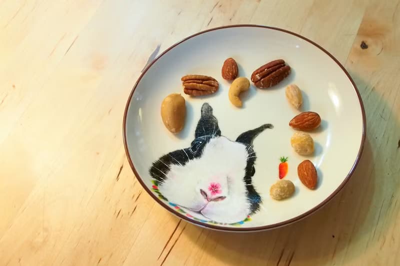 壁掛裝飾盤 / 點心盤系列－道奇兔也來鼻沾花