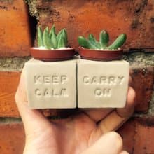 Keep Calm&Carry on 保持冷靜 堅持下去 磁鐵盆栽組
