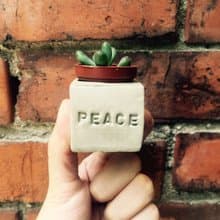 Peace!!磁鐵盆栽