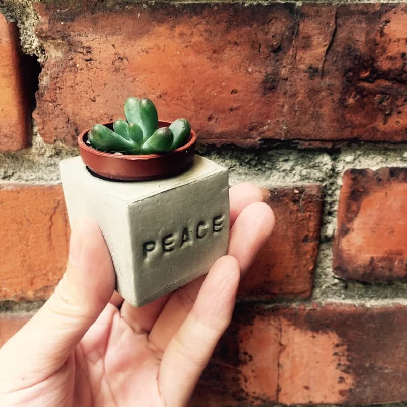 Peace!!磁鐵盆栽