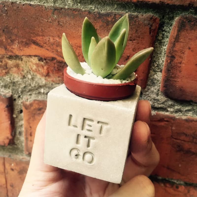 Let It Go!!!磁鐵盆栽