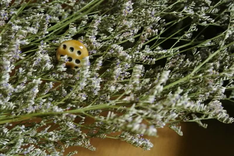 【 T - C 】耳環 日本白瓷 瓷器  限量 自然釉色 無限看不膩色調 攝氏1350高溫燒製