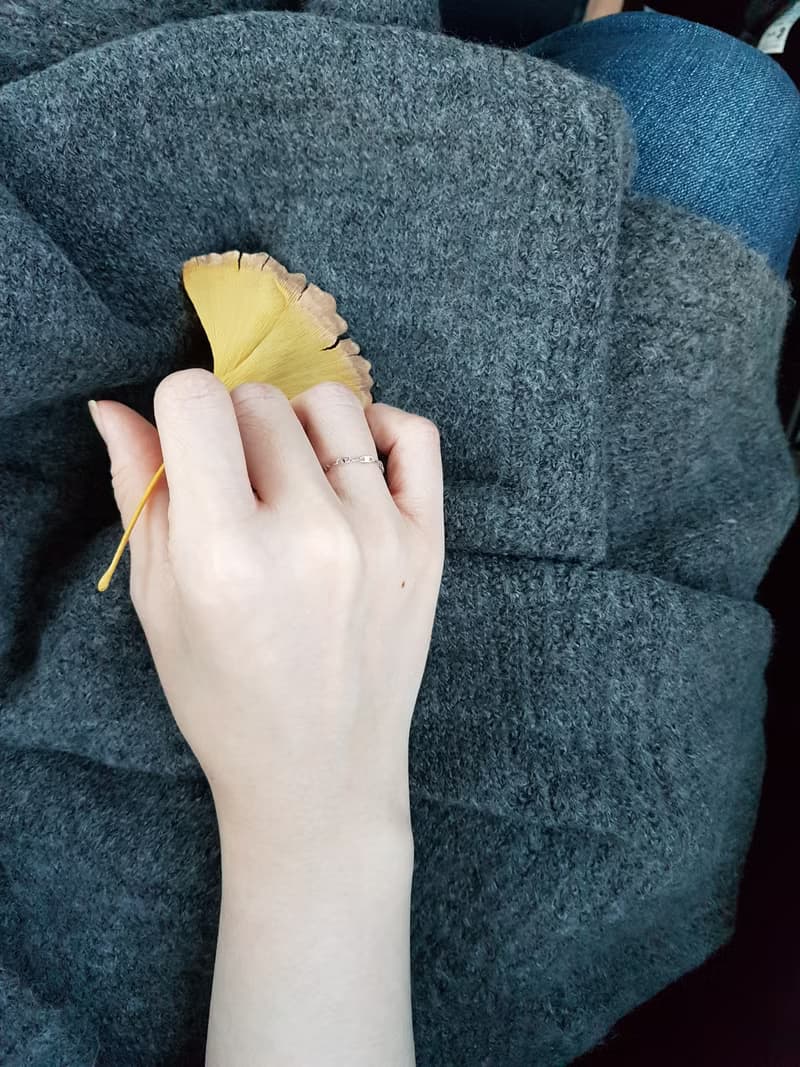 橢圓 圈鍊 裸鍊 鍊戒