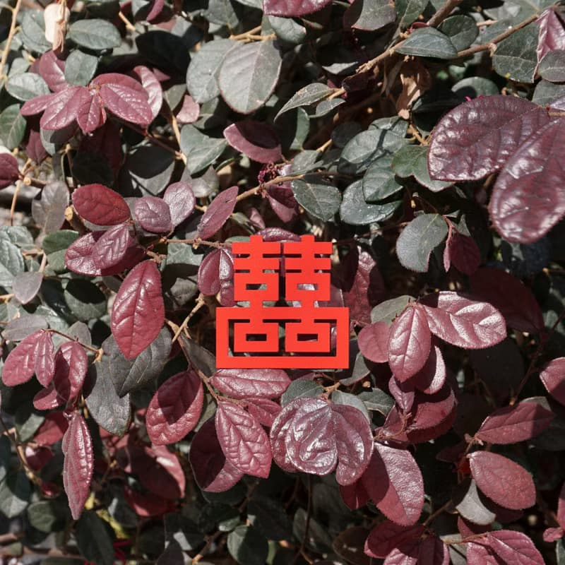 麥麥大節慶-雙喜臨門 紙雕書籤 | 文化節慶 開運祈福 文具送禮
