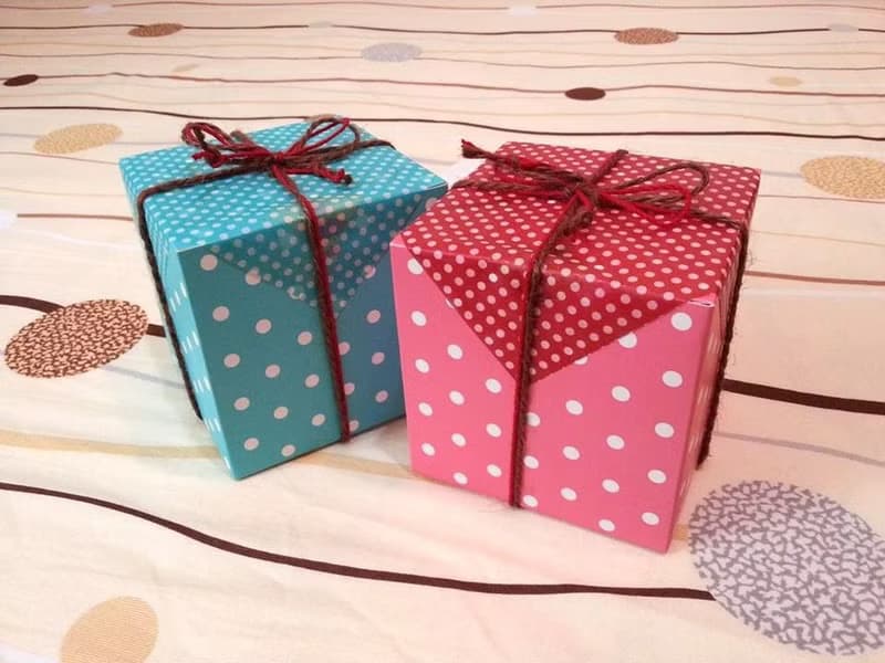 【Knitting】帶來幸福的招財貓(白色母貓紅金魚款)