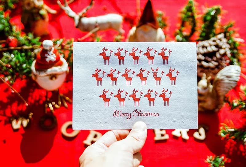 Merry Christmas 種子紙聖誕卡片 (麋鹿 Moose)