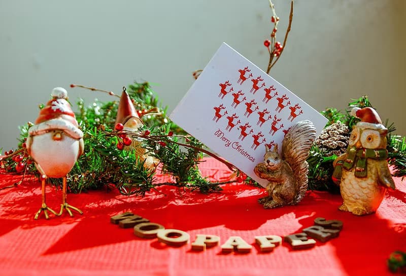 Merry Christmas 種子紙聖誕卡片 (麋鹿 Moose)