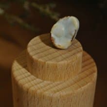 【 T - C 】耳環 日本白瓷 瓷器  限量 自然釉色 無限看不膩色調 攝氏1350高溫燒製