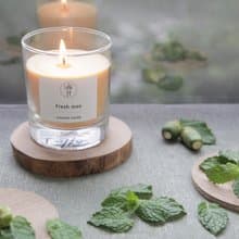 香水蠟燭【 新鮮人  Fresh man 】Scent candle 無蓋