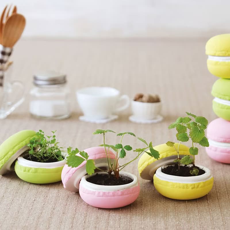 【福利品特賣】Sweet Garden - Macaroon 馬卡龍甜點栽培組 單顆