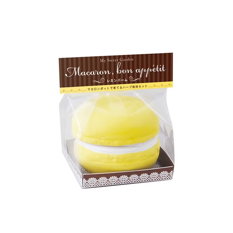 【福利品特賣】Sweet Garden - Macaroon 馬卡龍甜點栽培組 單顆