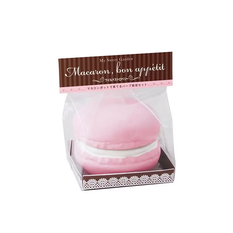 【福利品特賣】Sweet Garden - Macaroon 馬卡龍甜點栽培組 單顆