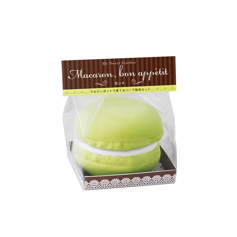 【福利品特賣】Sweet Garden - Macaroon 馬卡龍甜點栽培組 單顆