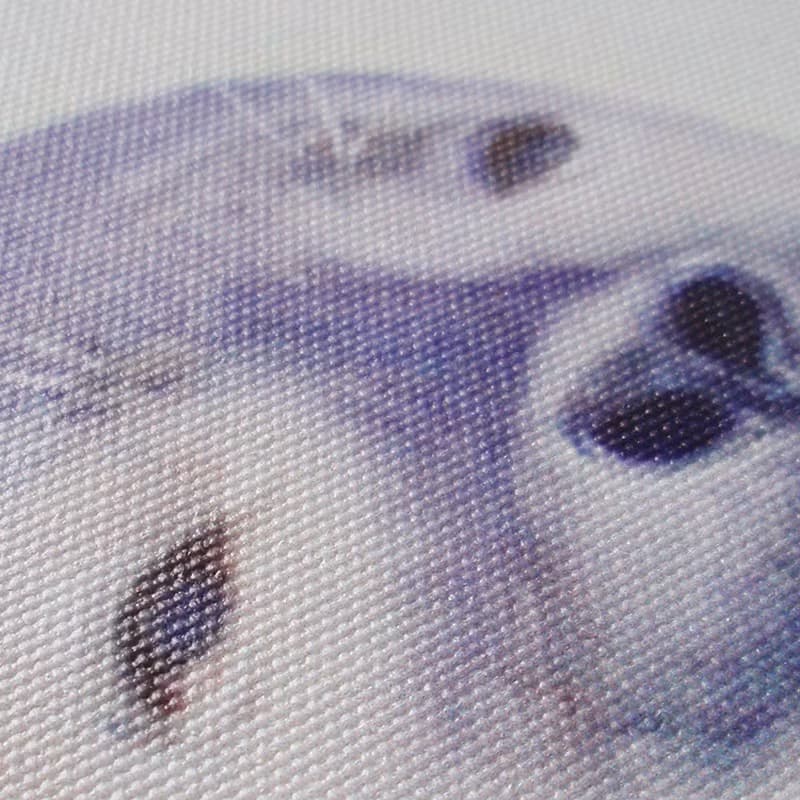 微笑動物油畫 海豹好舒服 4F複製畫