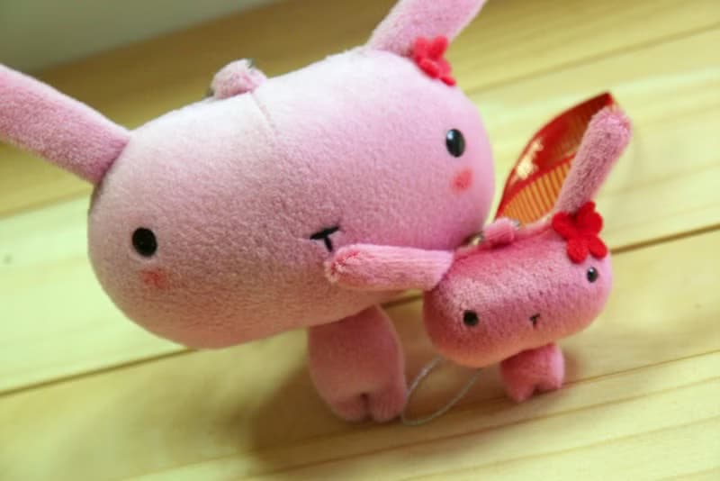 Bucute 療癒首選┃ 布蘿兔鑰匙圈┃生日禮物┃禮物
