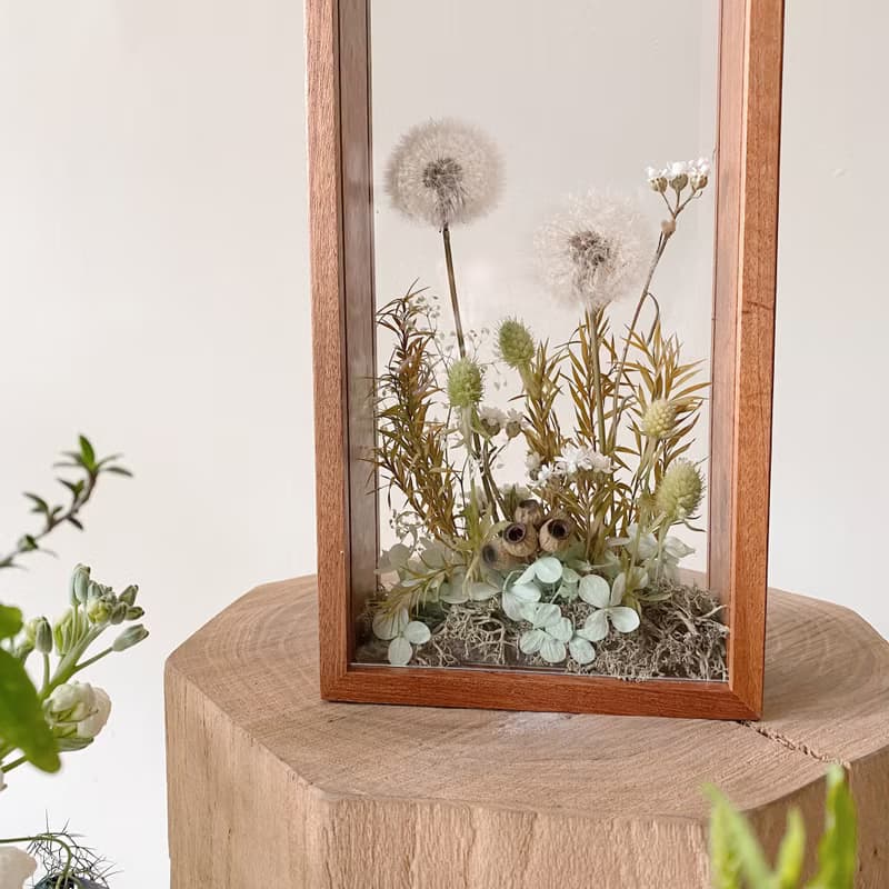 永生花 蒲公英 標本框