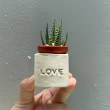 LOVE!!傳情達意磁鐵盆栽