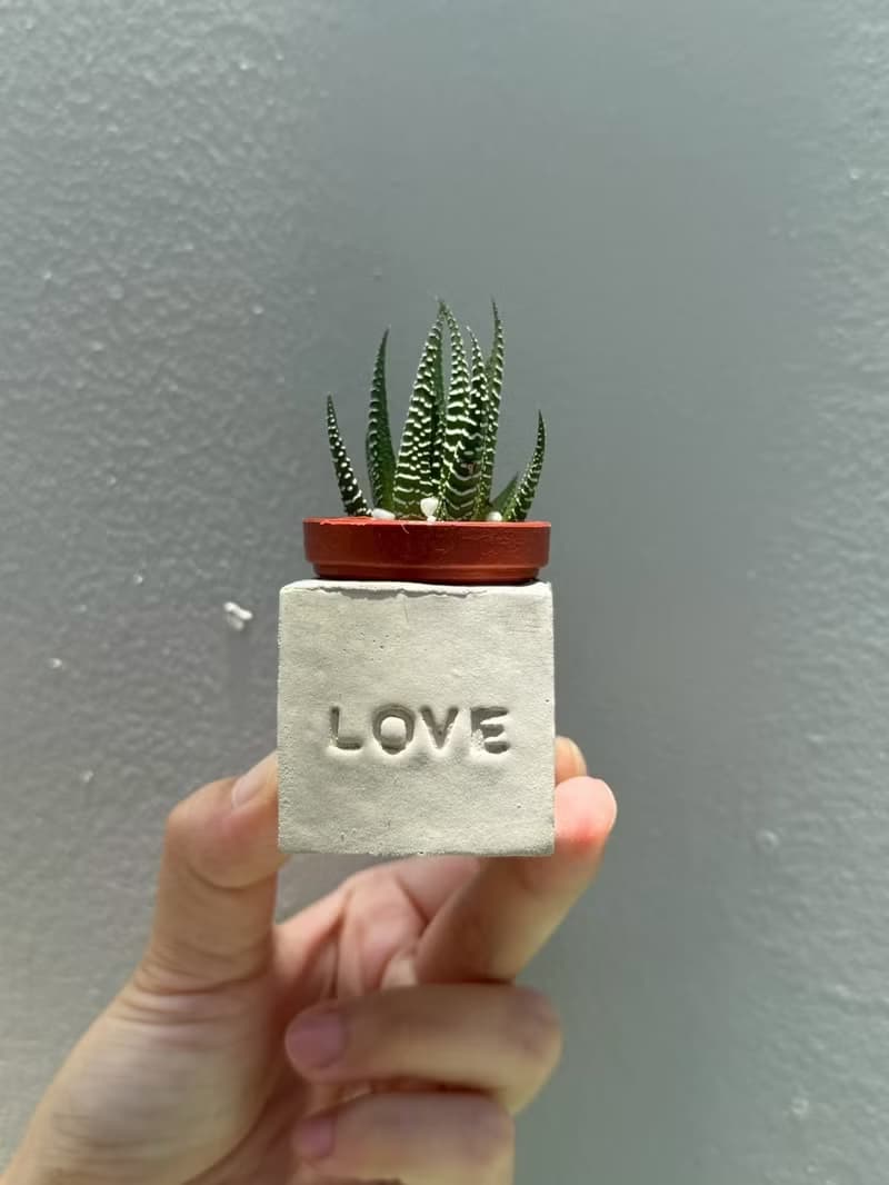 LOVE!!傳情達意磁鐵盆栽