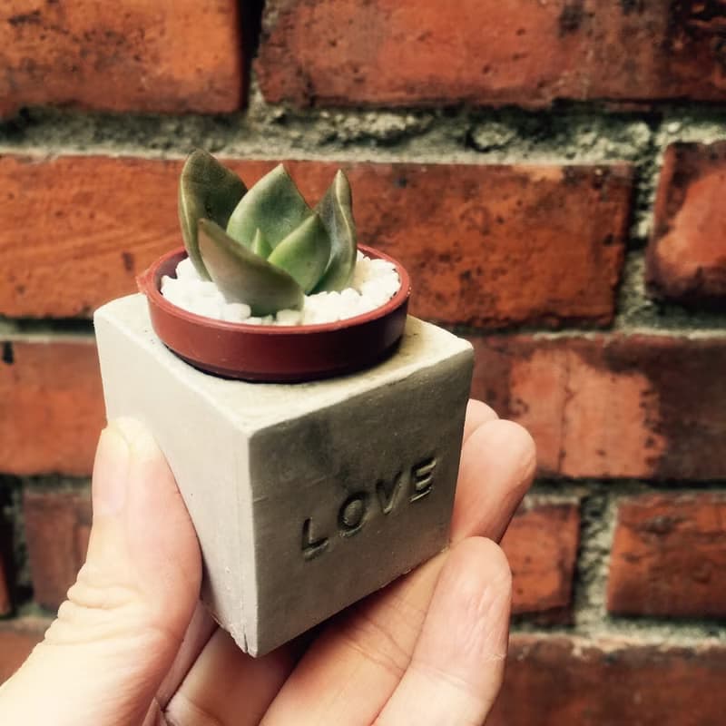 LOVE!!傳情達意磁鐵盆栽