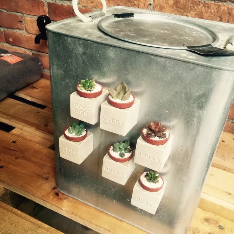 LOVE!!傳情達意磁鐵盆栽