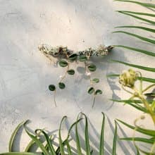 伏石蕨耳飾_珍珠皮塑