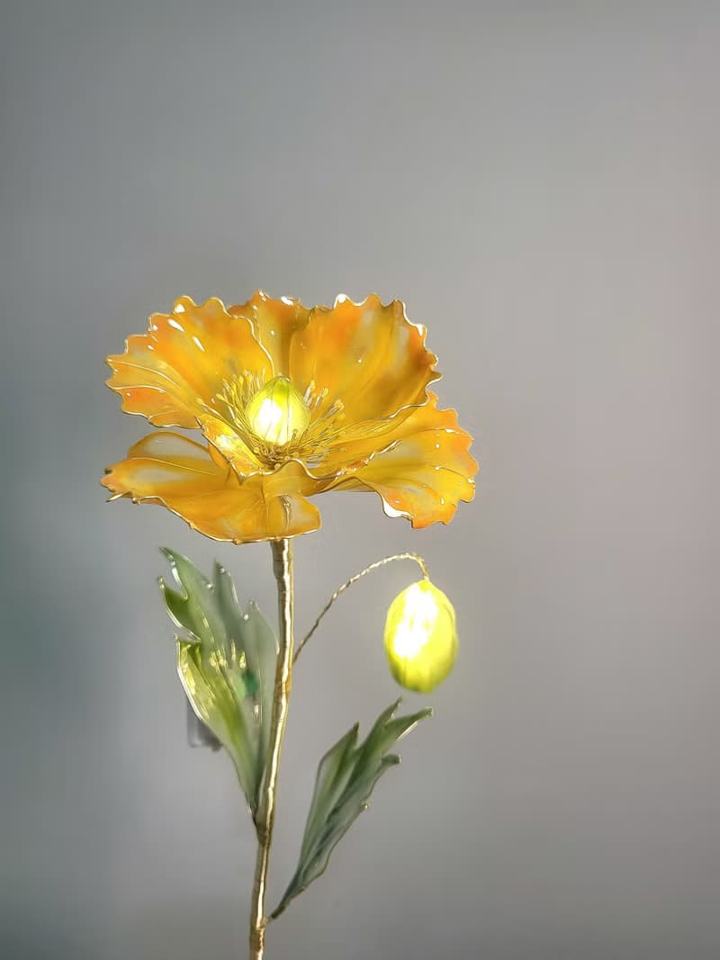 【誕生花燈】5月・虞美人。小夜燈。生日禮物