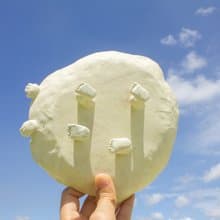 四腳獸陶瓷盤、盆器、果盤、禮物