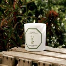 Carrière Frères 薑 香氛蠟燭